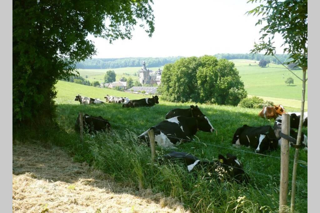 Hoeve Espewey Cottage Hombourg Esterno foto