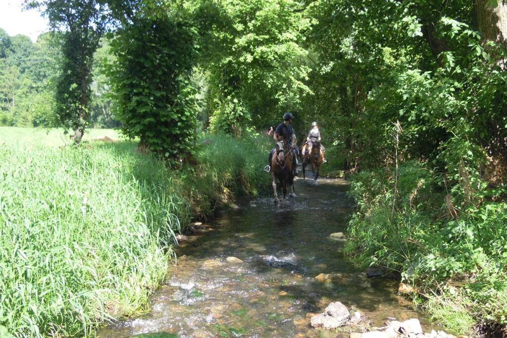Hoeve Espewey Cottage Hombourg Esterno foto
